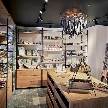 酒店 佩内尔阿尔卑斯酒店
